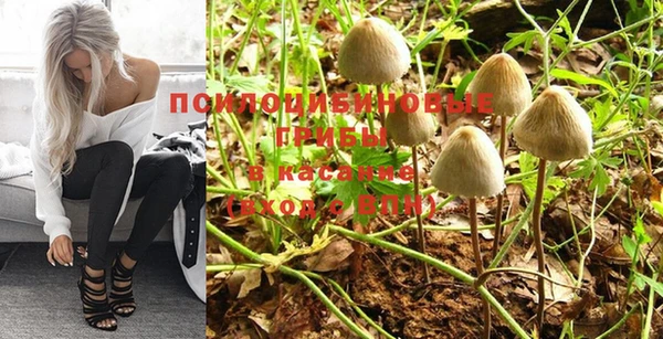кокс Шали