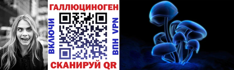 Псилоцибиновые грибы Psilocybine cubensis Яранск